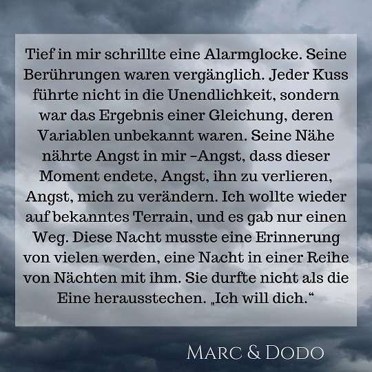 Tief in mir schrillte eine Alarmglocke. Seine Berührungen waren vergänglich. Jeder Kuss führte nicht in die Unendlichkeit, sondern war das Ergebnis einer Gleichung, deren Variablen unbekannt waren. Seine Nähe nährte Angst in mir - Angst, dass dieser Moment endete, Angst, ihn zu verlieren, Angst, mich zu verändern. Ich wollte wieder auf bekanntes Terrain, und es gab nur einen Weg. Diese Nacht musste eine Erinnerung von vielen werden, eine Nacht in einer Reihe von Nächten mit ihm. Sie durfte nicht als die Eine herausstechen. "Ich will dich."