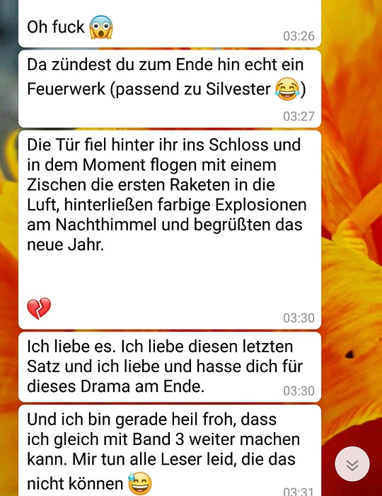 Ich zünde ein Feuerwerk.