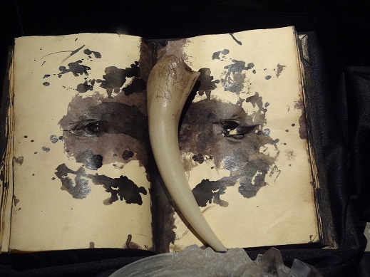 Basiliskzahn und zerstörtes Tagebuch von Tom Riddle. FIlmrequisite