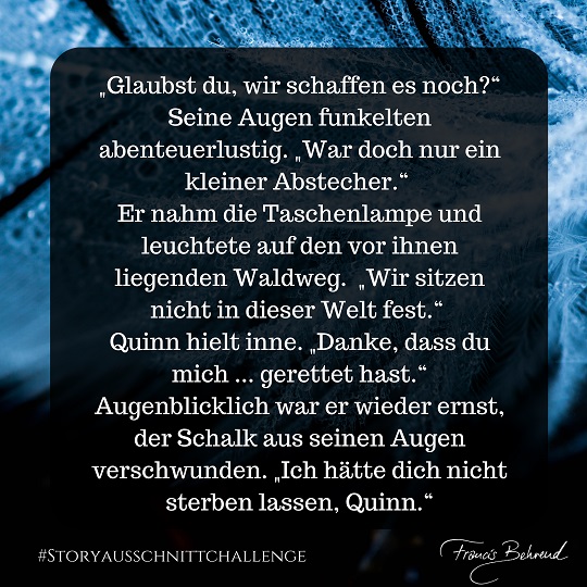 Beitrag 3 der Storyausschnittchallenge