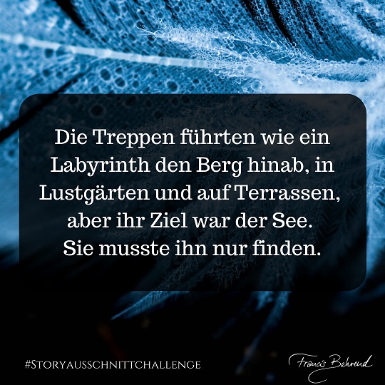 Beitrag 6 der #Storyausschnittchallenge